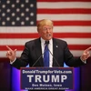 Ứng cử viên Tổng thống Mỹ Donald Trump. (Ảnh: AFP/TTXVN)