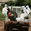 Nhân viên y tế chuyển một người bị tử vong do sốt vàng da tại Angola. (Nguồn: Getty Images)