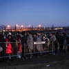 Người di cư đợi để vào trại tị nạn sau khi vượt qua biên giới Macedonia tới Serbia ngày 23/1. (Ảnh: AFP/TTXVN)