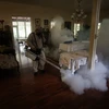 Nhân viên y tế phun thuốc diệt muỗi. (Ảnh: THX/TTXVN) 