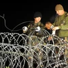Binh sỹ Hungary dựng hàng rào dây thép gai để ngăn dòng người nhập cư vào nước này. (Ảnh: Reuters/TTXVN)