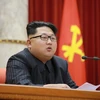 Bà Park Geun-hye gọi chế độ của nhà lãnh đạo Triều Tiên Kim Jong Un là độc tài. (Ảnh: AFP/TTXVN)