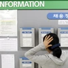 Một thanh niên Hàn Quốc tìm kiếm thông tin về việc làm tại Seoul. (Nguồn: Reuters)