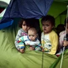 Trẻ em trong những căn lều tạm tại Idomeni, biên giới Hy Lạp-Macedonia ngày 7/3. (Nguồn: AFP/TTXVN)