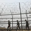 Binh sỹ Hàn Quốc tuần tra tại khu vực biên giới với Triều Tiên. (Nguồn: AFP) 