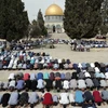 Các tín đồ Hồi giáo Palestine cầu nguyện tại đền Al-Aqsa ngày 23/10. (Nguồn: AFP/TTXVN)