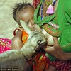 Một em bé cùng con hươu non cùng nhau bú sữa từ người mẹ. (Nguồn: dailymail.com)