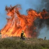 Lực lượng chữa cháy cố gắng dập tắt đám cháy đang lan nhanh. (Nguồn: Getty Images)