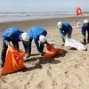 Các đoàn viên thanh niên tham gia làm sạch bãi biển. (Nguồn: TTXVN)