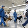Cảnh sát Nhật Bản tuần tra tại sân bay Chubu. (Nguồn: Kyodo)