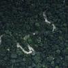 Một góc rừng Amazon nhìn từ trên cao. (Nguồn: Reuters)