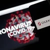 Biểu tượng của công ty công nghệ sinh học Gilead (Mỹ) và hình ảnh đồ họa mô phỏng virus SARS-CoV-2 gây dịch COVID-19. (Ảnh: AFP/TTXVN)