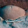 Rùa đá có kích thước 56x93 cm được cho là có từ thế kỷ thứ 10. (Nguồn: AP)
