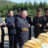 Nhà lãnh đạo Triều Tiên Kim Jong-un thị sát một nông trại thuộc đơn vị 810 của quân đội nhân dân Triều Tiên. (Ảnh: AFP/TTXVN)