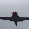 Một con chim có thể là nguyên nhân vụ rơi máy bay biểu diễn của Không quân Canada. (Nguồn: theglobeandmail.com)