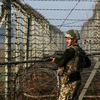 Binh sỹ Ấn Độ tuần tra ở hàng rào biên giới với Pakistan ở Suchetgarh, Tây Nam khu vực Kashmir. (Nguồn: Reuters)