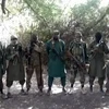 Phiến quân Boko Haram sát hại ít nhất 10 dân thường ở vùng Hồ Chad
