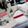 Nghiên cứu mẫu bệnh phẩm để bào chế vắcxin phòng COVID-19 tại phòng thí nghiệm của Novavax ở Gaithersburg, bang Maryland, Mỹ. (Ảnh: AFP/TTXVN)