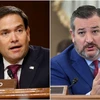 Thượng nghị sỹ Ted Cruz và Marco Rubio nằm trong số 11 quan chức Mỹ bị Trung Quốc áp đặt lệnh trừng phạt. (Nguồn: Reuters)