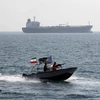 Lực lượng biên phòng Iran đã bắt giữ một tàu của UAE. (Nguồn: AFP)