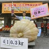 Nhân viên y tế phun thuốc khử trùng nhằm ngăn dịch COVID-19 lây lan tại khu chợ ở Seoul ngày 18/8/2020. (Ảnh: AFP/TTXVN)
