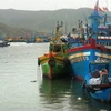 Kịp thời cứu nạn 11 ngư dân bị chìm tàu ở cửa biển Quy Nhơn