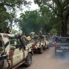 Binh sỹ Mali tham gia chiến dịch chống khủng bố. (Ảnh: AFP/TTXVN)