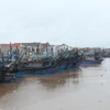 Tàu thuyền neo đậu tránh trú bão số 7 tại cảng Lạch Thơi, xã Sơn Hải, huyện Quỳnh Lưu, tỉnh Nghệ An. (Ảnh: Nguyễn Oanh/TTXVN)