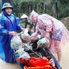 Lực lượng biên phòng Quảng Bình hỗ trợ nhân dân ứng phó mưa lũ. (Ảnh: TTXVN phát)