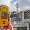 Lượng phóng xạ ở nhà máy điện hạt nhân Chernobyl có tác động gây hại đối với loài ong. (Nguồn: Getty Images)