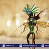 [Video] Độc đáo các tác phẩm nghệ thuật làm từ xác côn trùng
