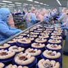 Chế biến tôm xuất khẩu tại nhà máy của Tập đoàn Minh Phu Seafood Corp tại Khu công nghiệp Nam Sông Hậu (Hậu Giang). (Ảnh: Vũ Sinh/TTXVN)