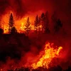 Khói lửa bốc lên từ đám cháy rừng ở Fresno, bang California, Mỹ ngày 8/9/2020. (Ảnh: AFP/TTXVN)