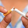 Tại sao các nhà làm luật ngày càng cởi mở hơn với thuốc lá thế hệ mới?
