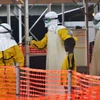 Tổ chức Y tế Thế giới cảnh báo 6 nước châu Phi về bùng phát dịch Ebola