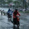 Từ ngày 1-10/3, Trung Bộ có lượng mưa cao hơn trung bình nhiều năm