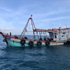 Cà Mau: Cứu nạn thành công tàu cá bị chìm cùng 7 thuyền viên