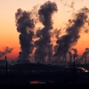 Cảnh báo: 1.600 người tử vong mỗi năm ở Slovakia do ô nhiễm không khí