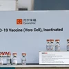 Singapore bắt đầu đánh giá mức độ an toàn của vaccine Sinovac Biotech