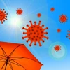 Phát hiện mới: Virus SARS-CoV-2 không “thích” ánh nắng Mặt Trời