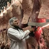 Nhật Bản nhân rộng công nghệ đánh giá thịt bò wagyu sử dụng AI