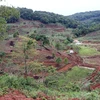 Tỉnh Kon Tum xem xét thu hồi các dự án đầu tư “treo” ở Măng Đen