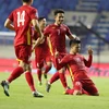 Trận đấu Việt Nam - Malaysia: HLV Park Hang-seo và bài toán Quang Hải