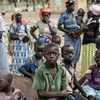 Xung đột tại Đông Bắc Nigeria có thể khiến hơn 1 triệu trẻ thiệt mạng