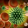 Nghiên cứu mới: Virus Corona đã gây đại dịch từ cách đây 20.000 năm 