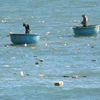 Quảng Ngãi: Một ngư dân mất tích khi đang câu mực trên biển