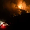 Cyprus: 4 người thiệt mạng do cháy rừng lớn nhất nhiều thập kỷ qua