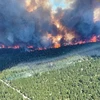 Canada: Quân đội được đặt trong tình trạng trực chiến do cháy rừng