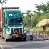Bộ Giao thông Vận tải họp khẩn với 19 tỉnh phía Nam về tổ chức vận tải