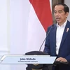 Indonesia tiếp tục cải cách và chuyển đổi cơ cấu nền kinh tế